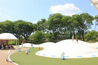 IMG_7745.jpg