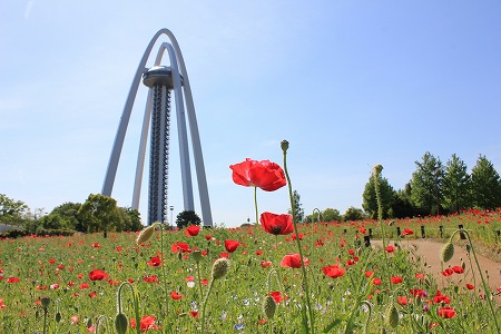 IMG_8165.jpg