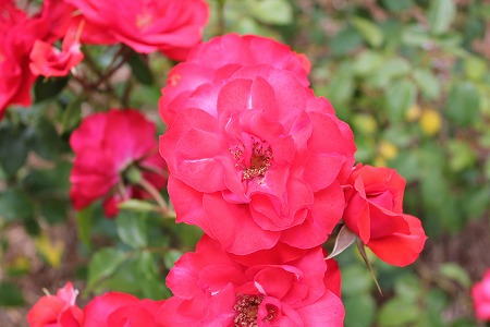 IMG_8465.jpg