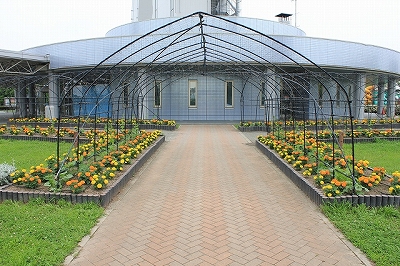 IMG_8976.jpg