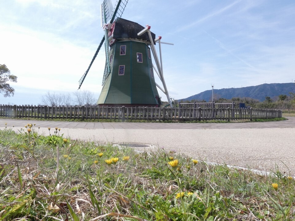 P1150137.jpg