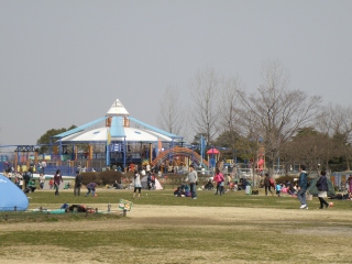 P3160064.jpg