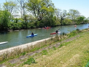 P4230020.jpg
