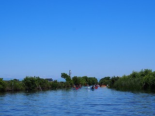 P5280072.jpg