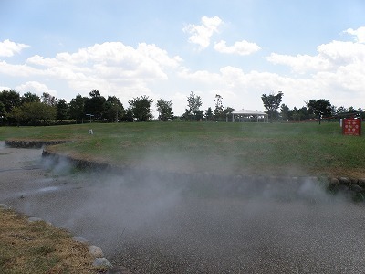 P8153632.jpg