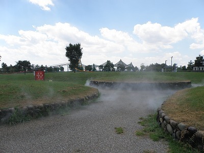 P8153634.jpg