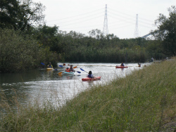 PA140004.jpg