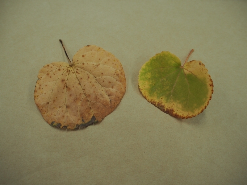 PB130024.jpg