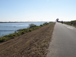PB230096.jpg