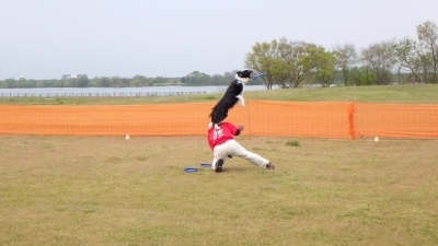 RIMG0462.jpg