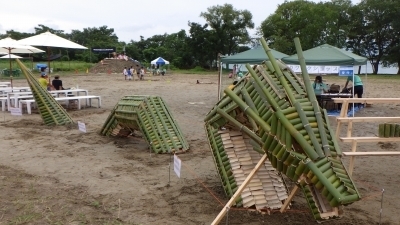 RIMG1137.jpg