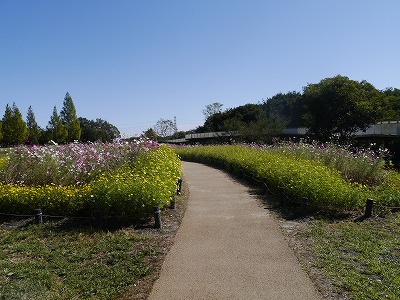 _1020257.jpg