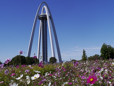 _1020266.jpg
