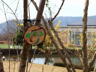 s-150320 (35).jpg