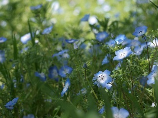 s-160414 (27).jpg