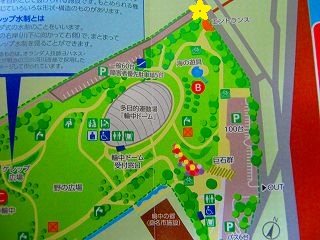 s-3公園地図.jpg