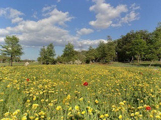 s-DSC00088.jpg