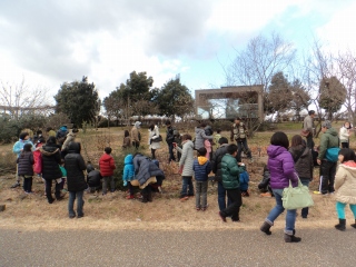 s-DSC00265.jpg