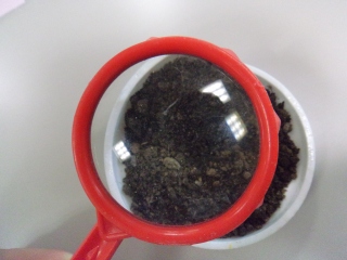 s-DSC00346.jpg