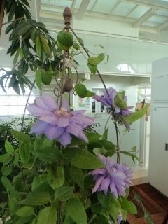 s-DSC00505.jpg