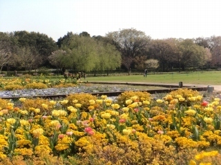 s-DSC00514.jpg