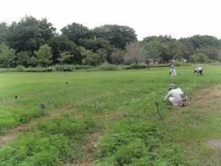 s-DSC00635.jpg