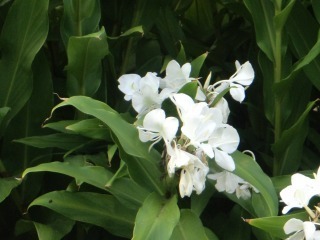 s-DSC00661.jpg