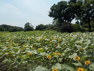 s-DSCN0149.jpg