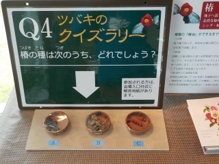 s-DSCN2184.jpg