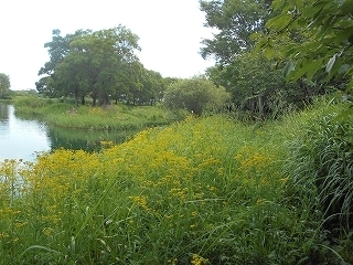 s-DSCN7166.jpg