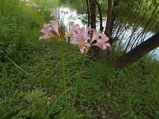 s-DSCN7170.jpg