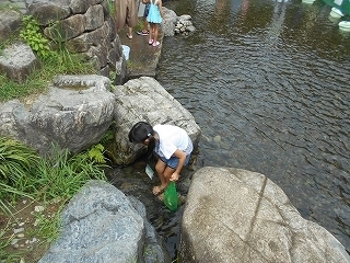 s-DSCN7202.jpg