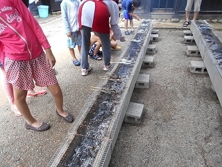 s-DSCN7208.jpg