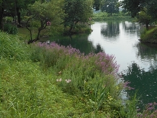 s-DSCN7212.jpg