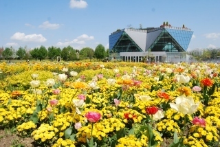 s-DSC_0003.jpg