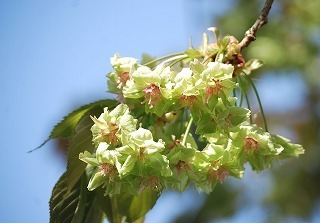 s-DSC_0005.jpg