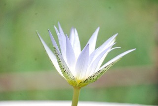 s-DSC_0005.jpg