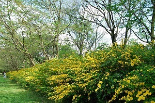 s-DSC_0011.jpg
