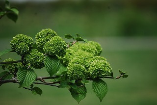 s-DSC_0014.jpg