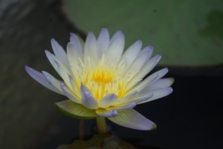s-DSC_0016.jpg