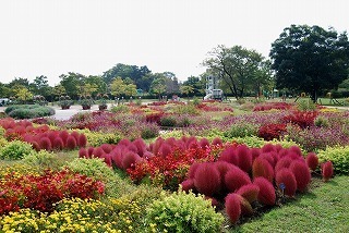 s-DSC_0018.jpg