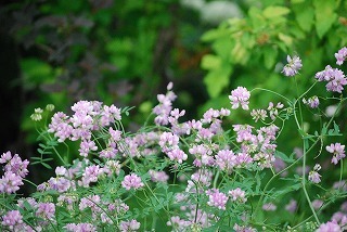 s-DSC_0021.jpg