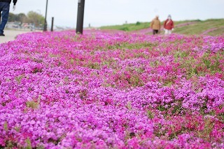 s-DSC_0023.jpg