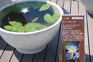 s-DSC_0026.jpg