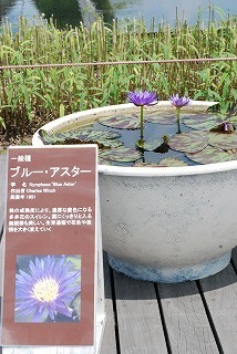 s-DSC_0035.jpg