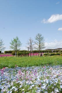 s-DSC_0036.jpg