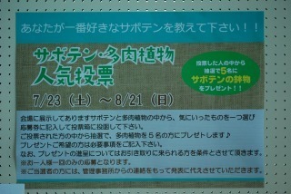 s-DSC_0041.jpg