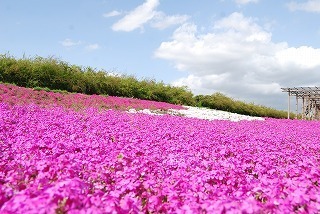 s-DSC_0051.jpg