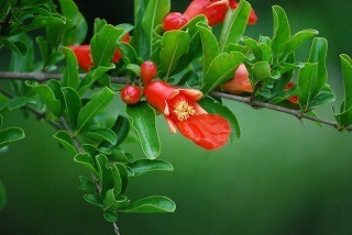 s-DSC_0052.jpg