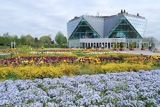 s-DSC_0054.jpg